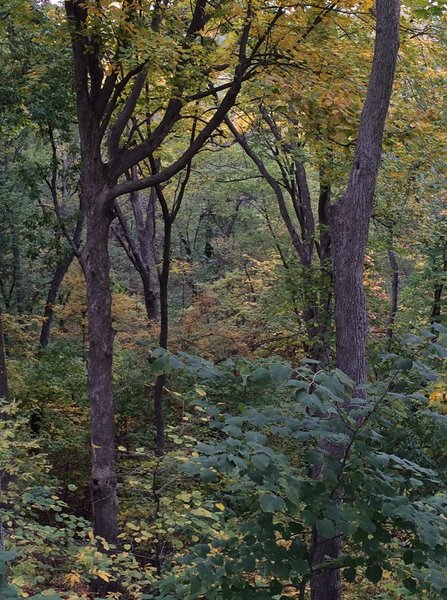 tagisu - tagtober - 1382240133-26913-956