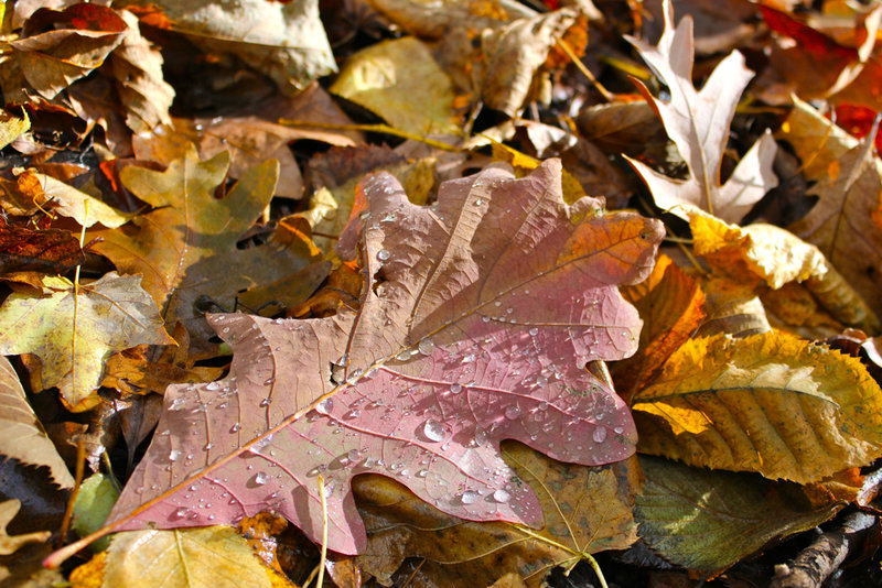 tagisu - tagtober - 1382246430-28142-462