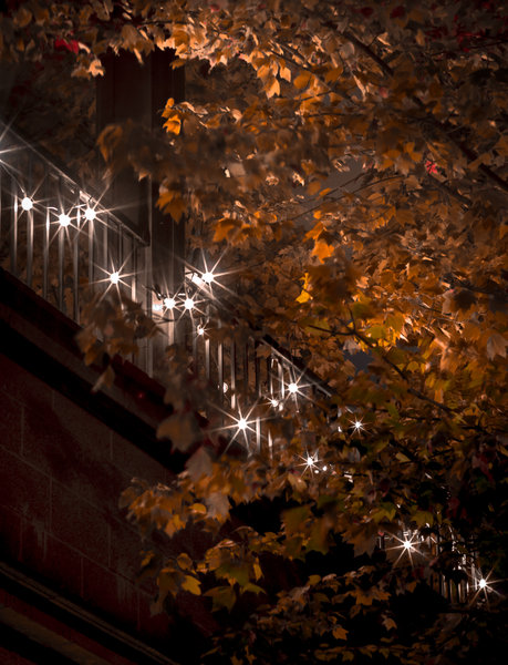 tagisu - tagtober - 1382248422-28560-306