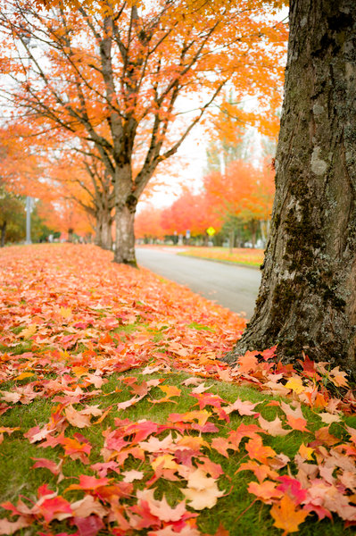 tagisu - tagtober - 1382318699-9564-271