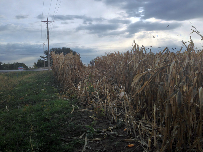 tagisu - tagtober - 1382325865-11386-279