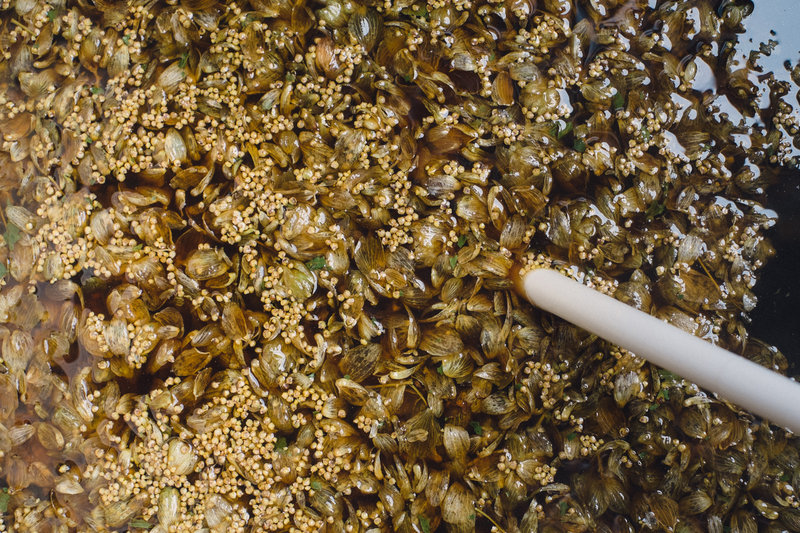 tagisu - tagtober - 1382328395-11912-858