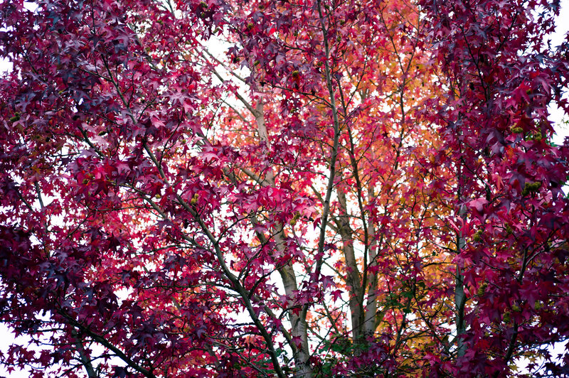 tagisu - tagtober - 1382407617-27302-251