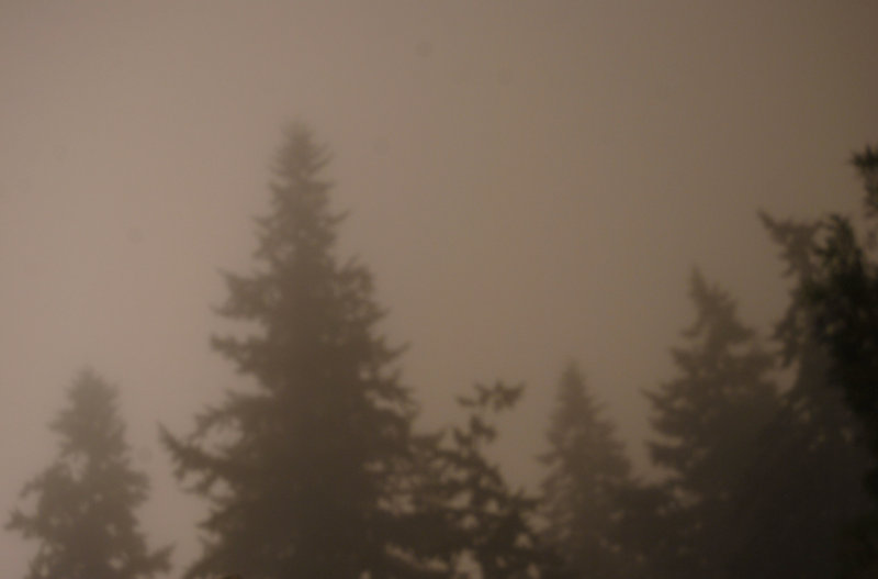 tagisu - tagtober - 1382413958-28795-958