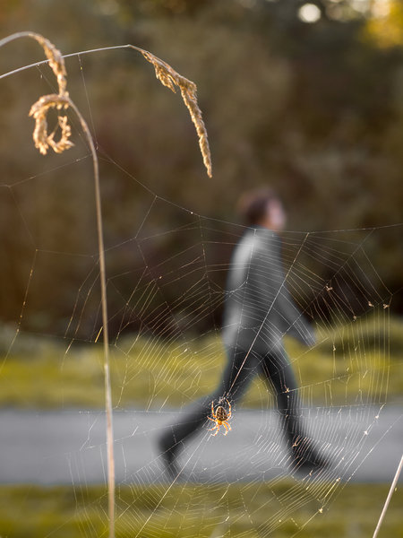 tagisu - tagtober - 1382501013-13899-834