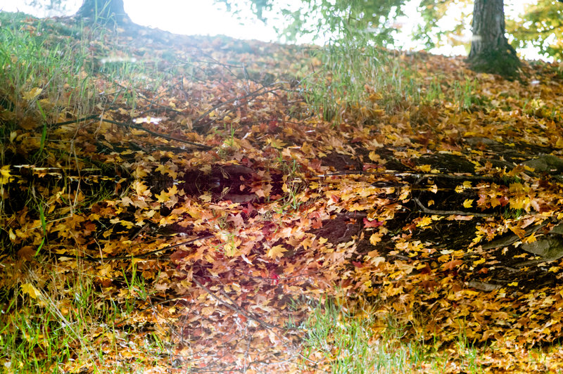 tagisu - tagtober - 1382579506-30540-411