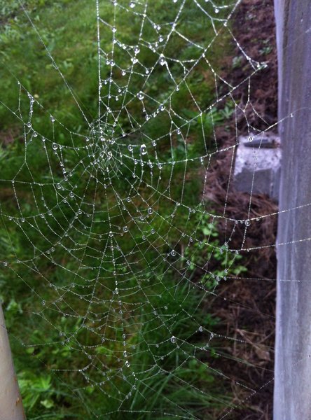 tagisu - tagtober - 1382591804-818-285