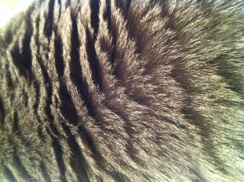 tagisu - tagtober - 1382592183-946-956