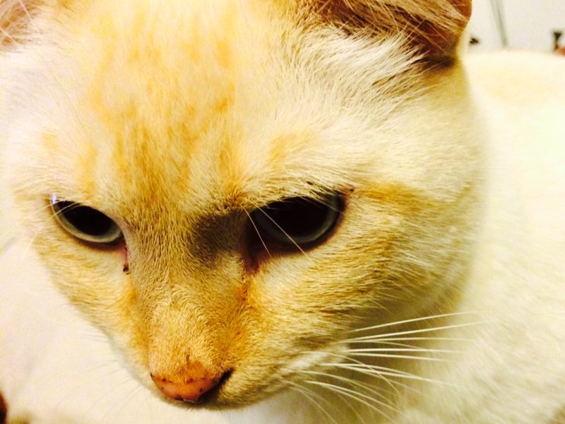 tagisu - tagtober - 1382592813-1145-414