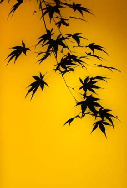 tagisu - tagtober - 1382593944-1408-530