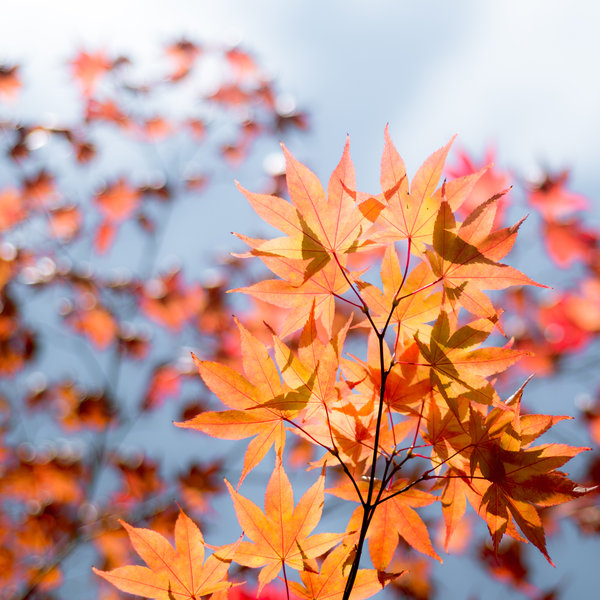 tagisu - tagtober - 1382670126-17361-122