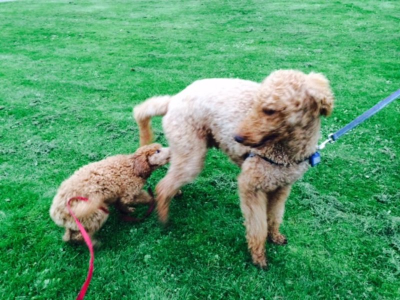 tagisu - tagtober - 1382680780-19979-321