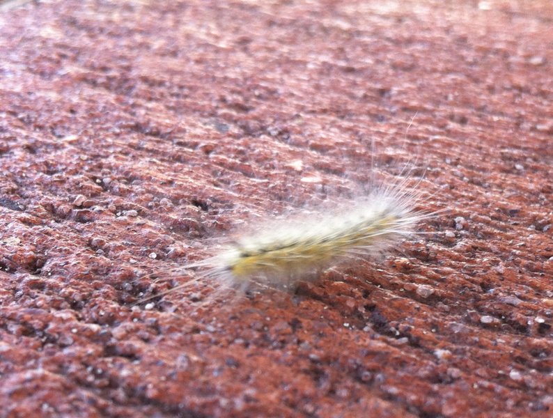 tagisu - tagtober - 1382718327-27283-568