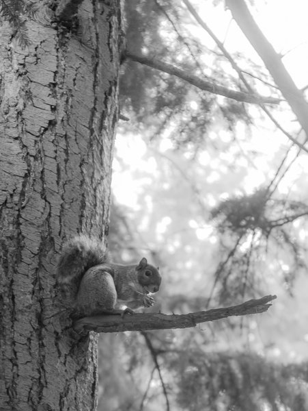 tagisu - tagtober - 1382764667-4714-864