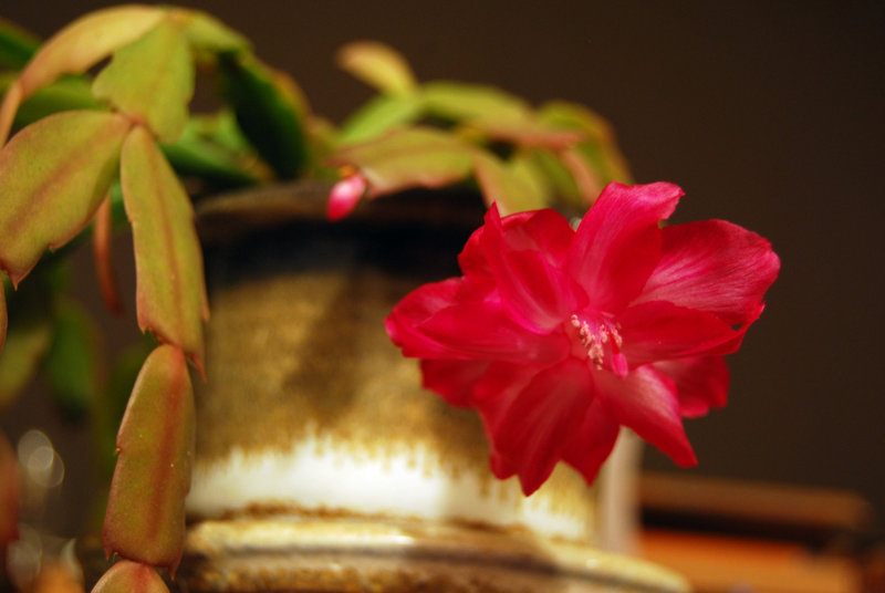 tagisu - tagtober - 1382766742-5098-900