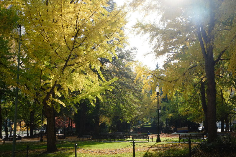 tagisu - tagtober - 1382837632-18921-603