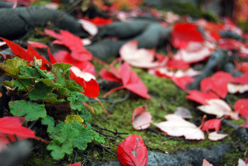 tagisu - tagtober - 1382846508-20485-632