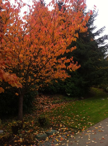 tagisu - tagtober - 1382846771-20565-279