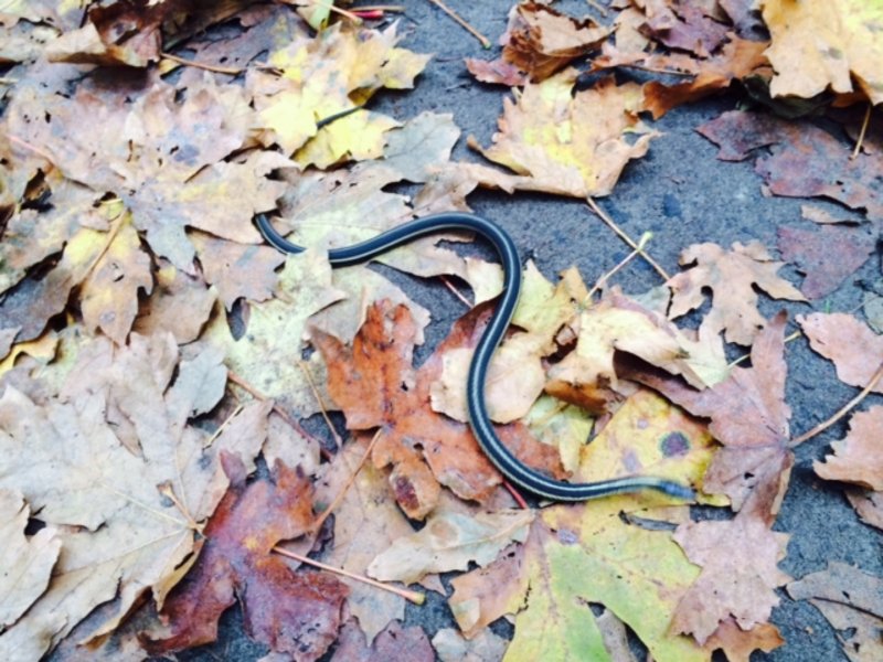 tagisu - tagtober - 1382851960-21981-295