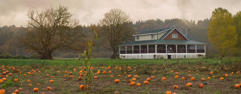 tagisu - tagtober - 1382934927-6973-922