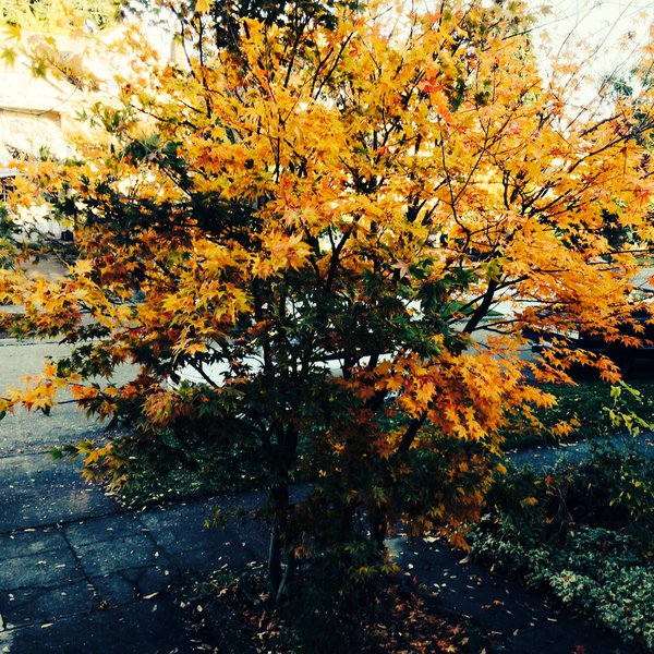 tagisu - tagtober - 1382938619-7629-251