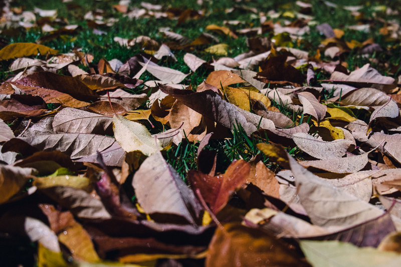 tagisu - tagtober - 1383019715-22788-596