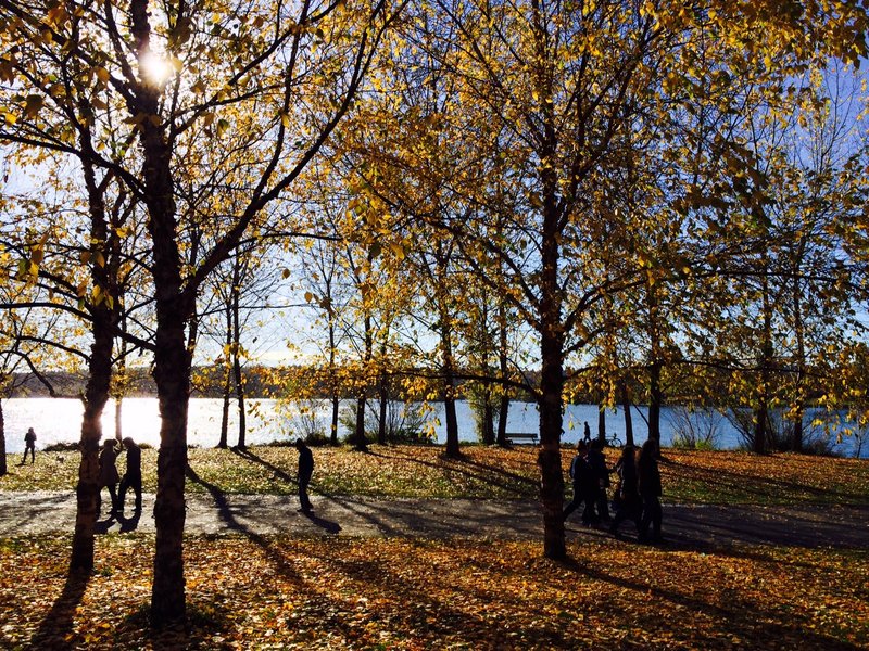 tagisu - tagtober - 1383025096-23703-463