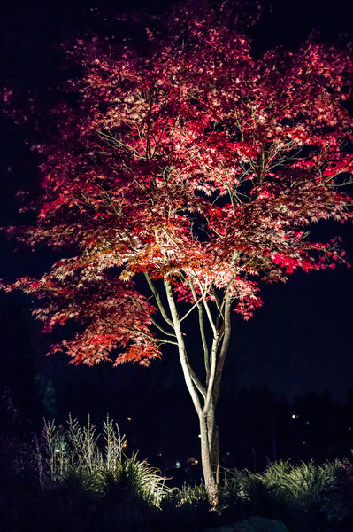 tagisu - tagtober - 1383025281-23759-389