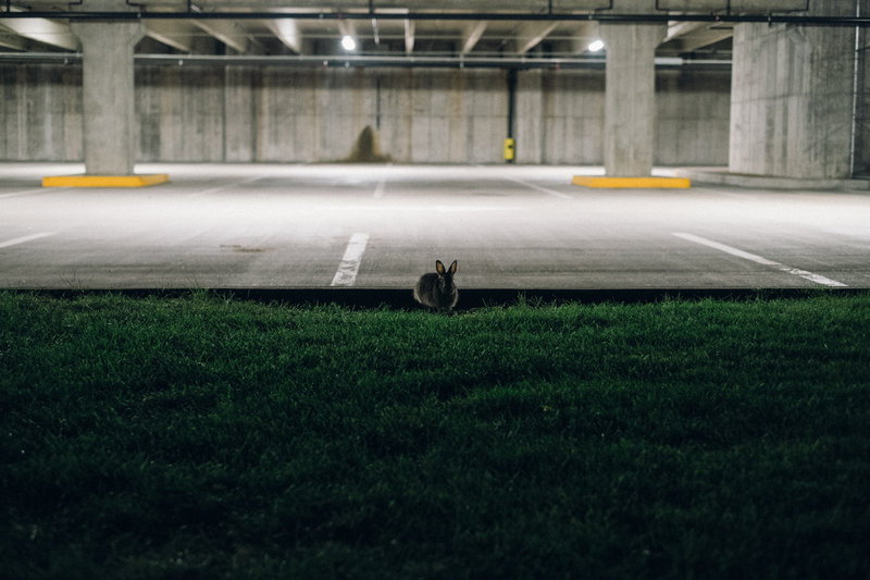 tagisu - tagtober - 1383104868-6183-736