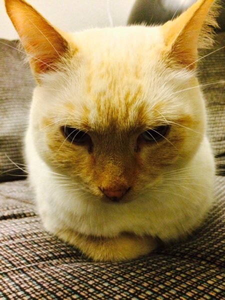 tagisu - tagtober - 1383111478-7441-274