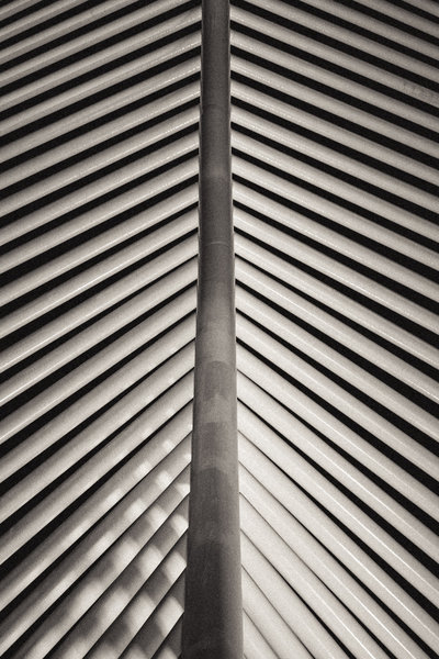 tagisu - tagtober - 1383190967-23612-309