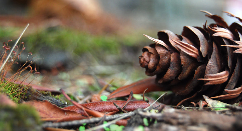 tagisu - tagtober - 1383275733-8525-926